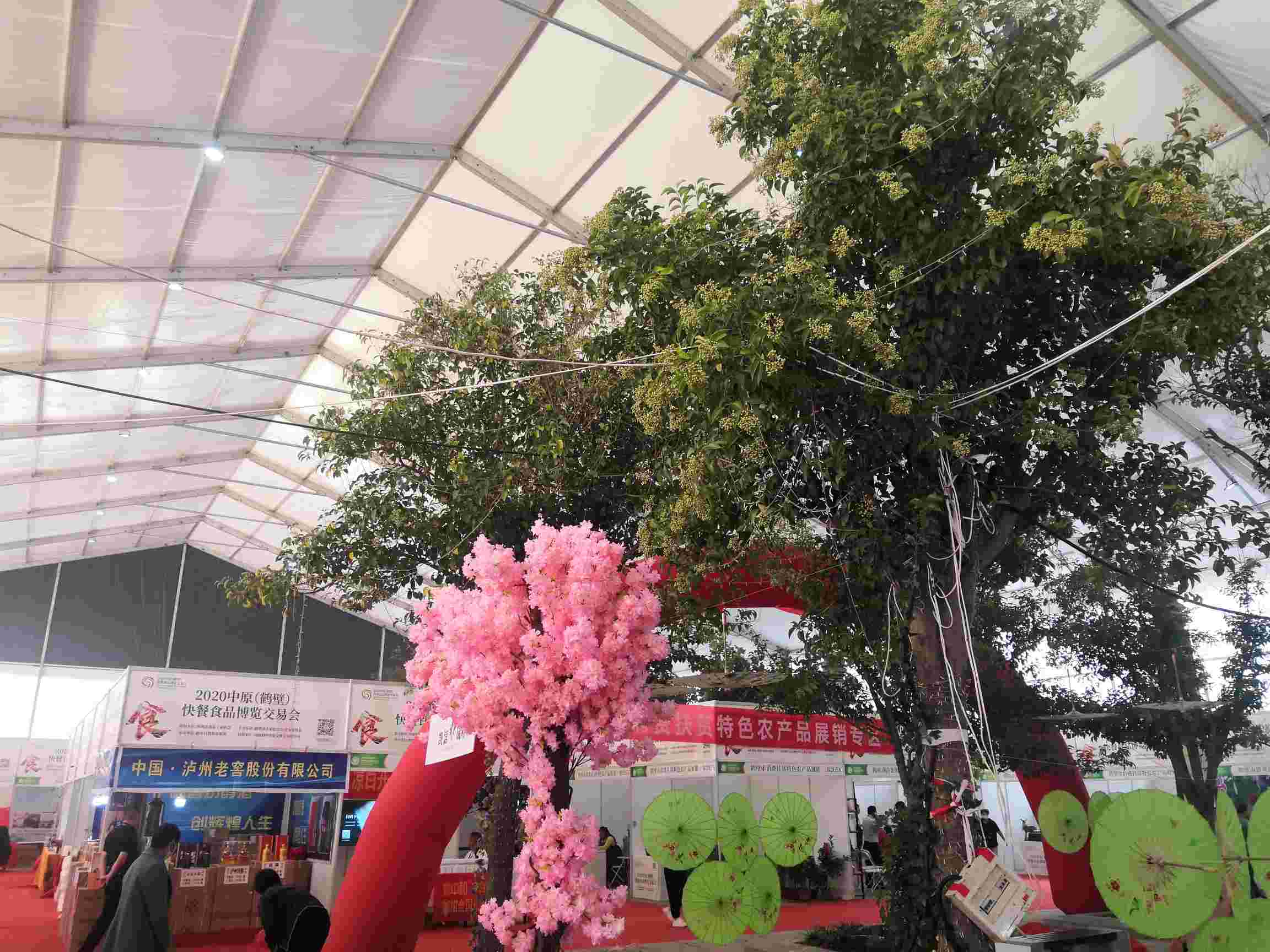 2020年中原（鹤壁）快餐食品博览交易会 (15).jpg